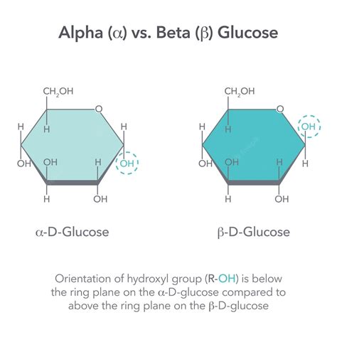 alpha glucose and beta glucose|Alpha Glucose vs. Beta Glucose .